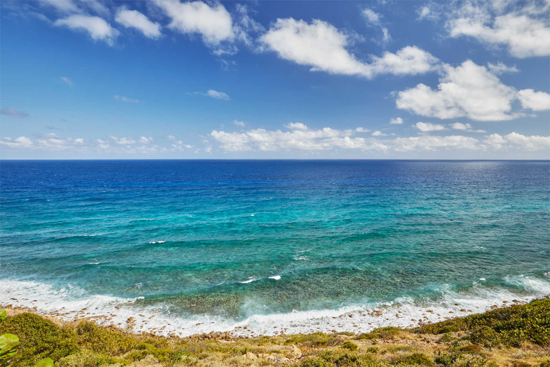 A scenic view of a vast ocean with clear blue water under a partly cloudy sky celebrates World Ocean Day. Gentle waves lap against a rocky shoreline in the foreground, with sparse greenery visible near the edge. The horizon stretches where the sea meets the sky.