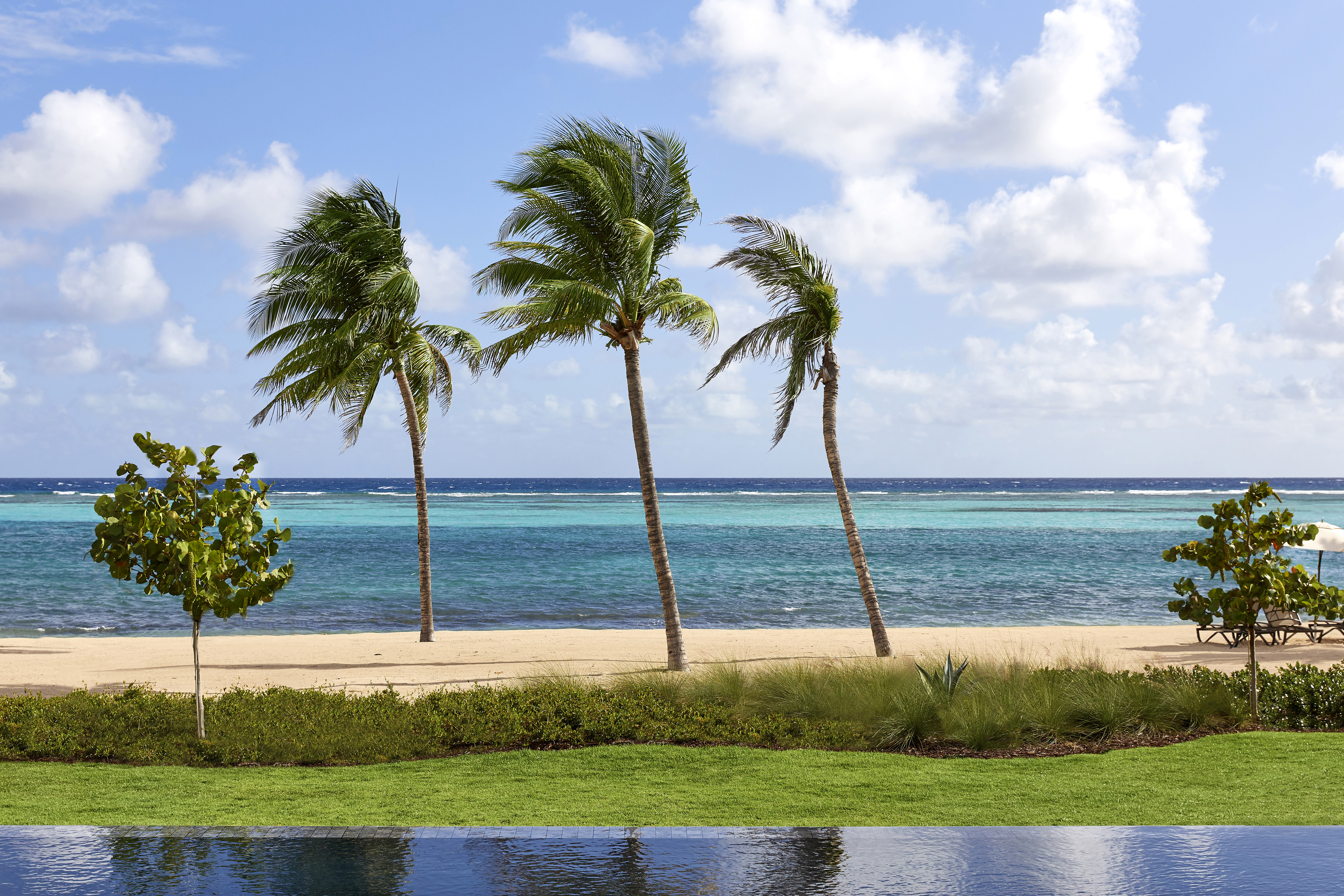 A serene beach with four tall palm trees swaying gently along the shoreline. Clear, turquoise water stretches to the horizon beneath a partly cloudy sky. A well-manicured grass area in the foreground lies adjacent to an idyllic oceanfront property reflecting the tranquil sky.