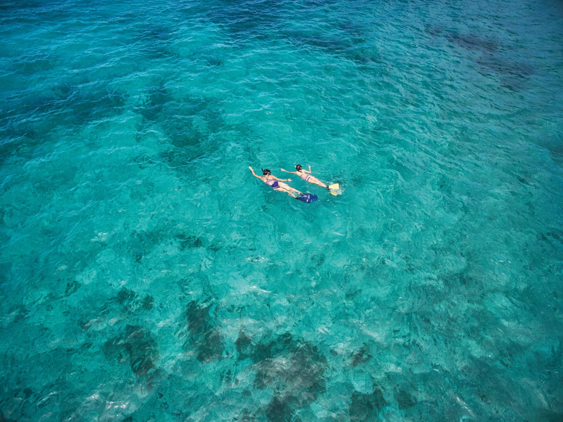 Two people float on clear turquoise water, holding hands, with one wearing dark swim shorts and the other in a black swimsuit. Engaged in an underwater exploration, they marvel at the marine life beneath them as sun rays filter through the calm ocean around them.