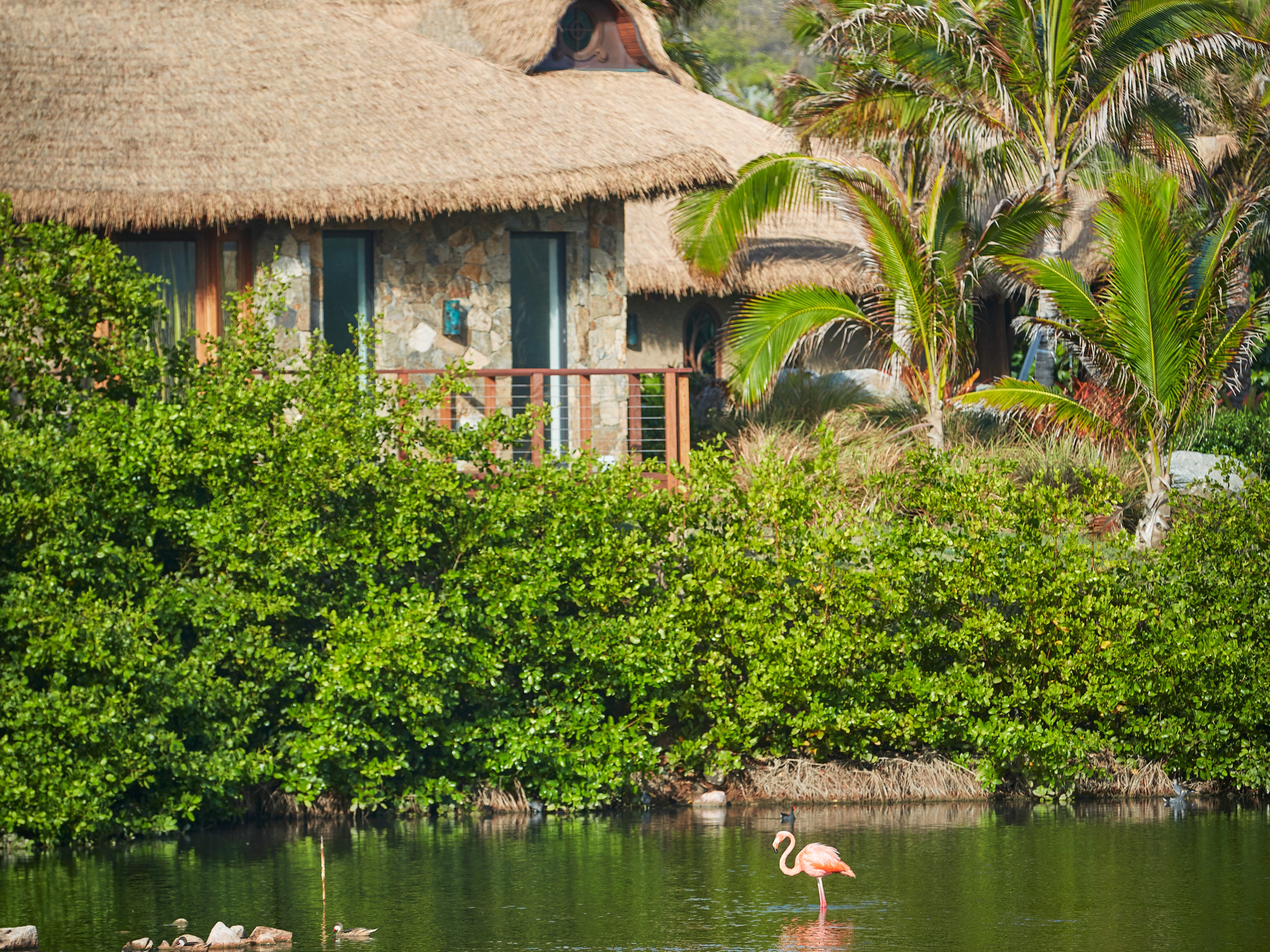 A scenic bungalow with a thatched roof is surrounded by lush greenery and tropical plants. In the center of this natural paradise, a flamingo stands in a serene pond, creating a tranquil and picturesque setting.