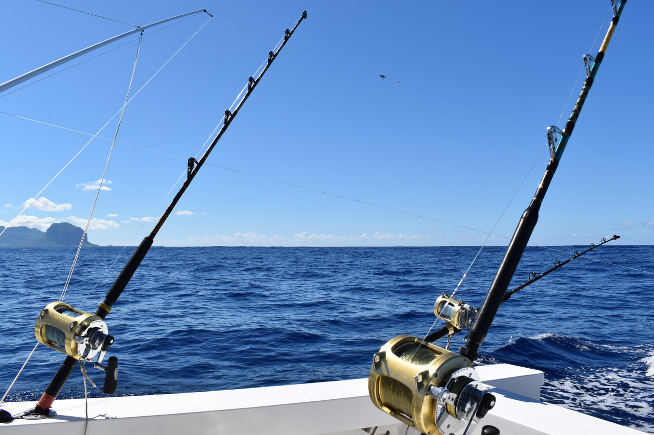 A view from the back of a charter boat shows two fishing rods with reels set up for deep-sea fishing against a backdrop of blue ocean and clear sky. A distant landform is visible on the horizon, capturing the essence of unforgettable fishing charters.