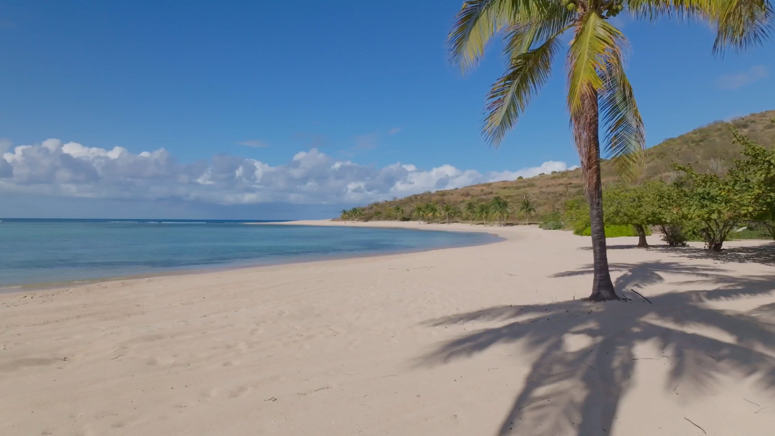 A serene tropical beach with pristine white sand and clear blue waters, perfect for a beach vacation. A lone palm tree stands near the shoreline, its shadow cast on the sand. The sky is bright blue with scattered fluffy clouds, and a hill covered in greenery is visible in the background.